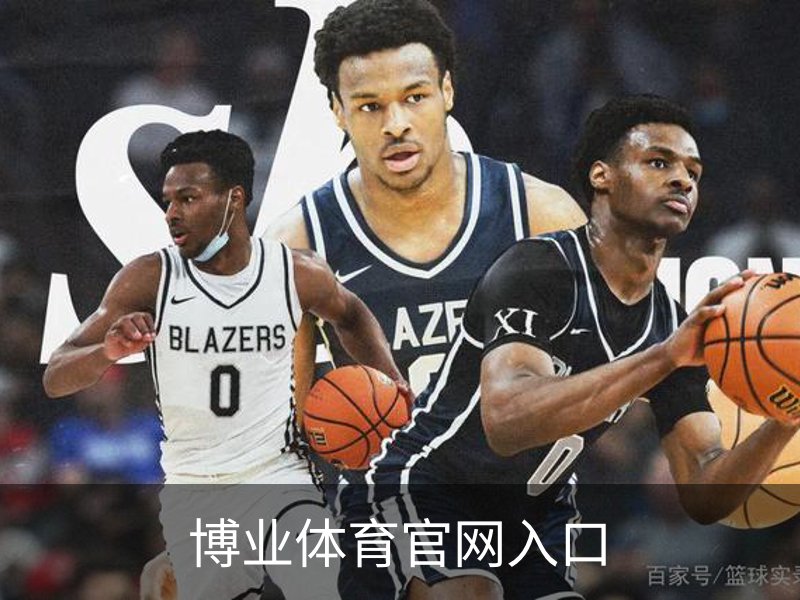 博业体育官网入口简介